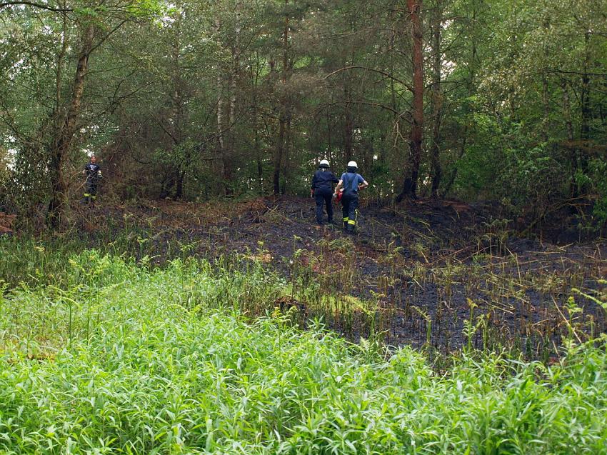 Waldbrand Bergisch Gladbach Bensberg P098.JPG